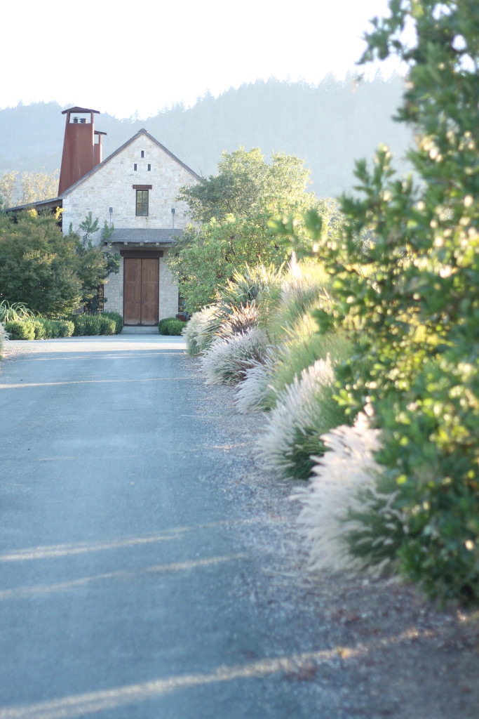 Vineyard House Edit